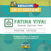 fatimavivai